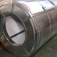 Galvanized Steel Ppgi Coil