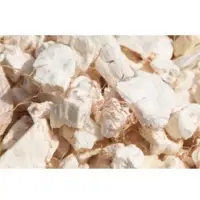 Organic Baobab Powder