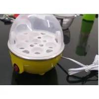 Electric Egg Poacher
