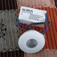 Spot Light  2Watt