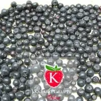 IQF Frozen Aronia Semi Finished