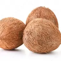 Dehusked Coconut