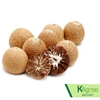 Areca Nut / Betel Nut