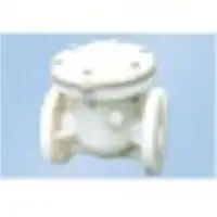 Check valve