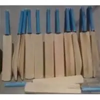 Cricket bats