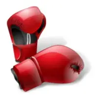Boxing gloves