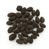 Saw Palmetto Oil 85%.