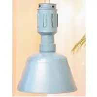 Iron Hanging Lamp