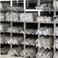 Stainless Steel Angle