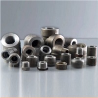 Forged Fittings