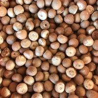 Premium Grade Whole Dried Betel Nut