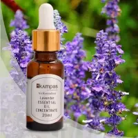 Lavender Essential Oil