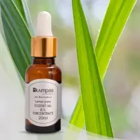 Lemongrass Essential Oil