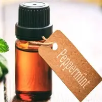 Peppermint Essential Oil