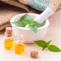 Basil Essential Oil