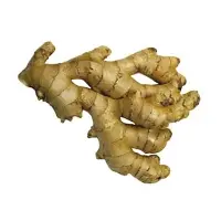 Fresh Ginger