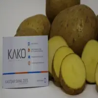 Fresh Potato