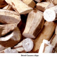 Cassava Dry Chips