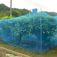 PE Insect Protection Net