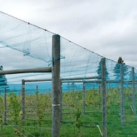 PE Fence Net