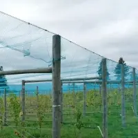 PE Fence Net