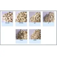 Cashew nuts
