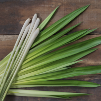 Lemongrass