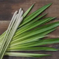 Lemongrass