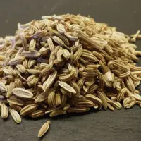 Fennel Seed