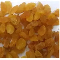 Golden Raisins