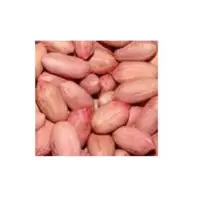 Groundnut Kernels