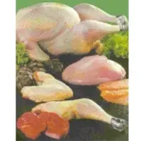 Poultry