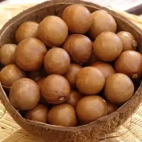 Top Quality Macadamia Nuts