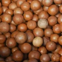 Top Quality Raw Macadamia From Kenya