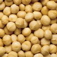 Kenya Roasted Macadamia Nuts