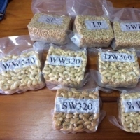Cashew Nuts