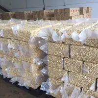 Best Premium Grade Cashew