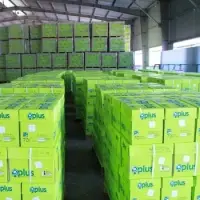 White A4 Copy Paper 70gsm ,75gsm 80gsm