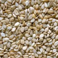 Kenyan Wholesale Sesame Seeds
