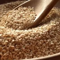 Sesame Seeds