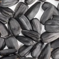 High Quality Sunflower Seeds