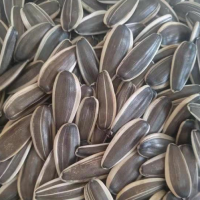 Sunflower Seeds With Shell