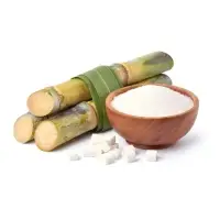 Quality Refined White Cane Sugar ICUMSA45
