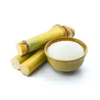 Russian Beet Sugar