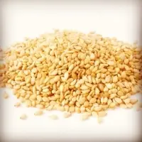 Good Quality White Sesame Seeds