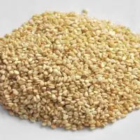 Wholesale Sesame Seeds
