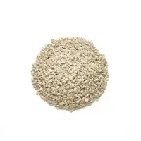 Natural White Sesame Seeds