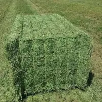 Animal Hay Alfafa Hay