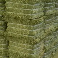 Wholesale Lucerne Bales