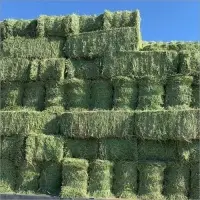Alfalfa Bales For Sale
